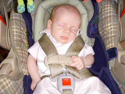 Description: Picture 143 (Small)