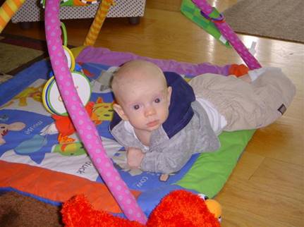 Description: Picture 193 (Small)