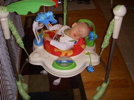 Description: Picture 195 (Small)