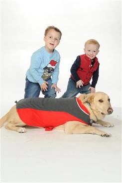 Description: Xmas 2010 5 (Small).jpg