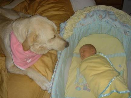 Description: Joey w Laney birth (Medium) (Small)