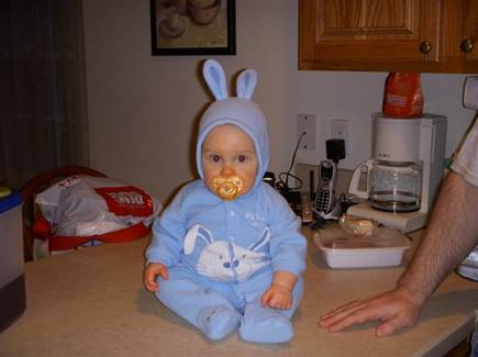 Description: Joey 5-9 months 025 (Small)