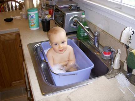 Description: Joey 5-9 months 033 (Small)