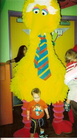 Description: Big Bird (Small)