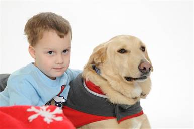 Description: Xmas 2010 2 (Small).jpg